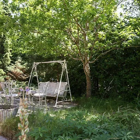 10040-rorvig-lyngvaenget-10 * Rørvig